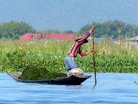 Lac Inle (23)